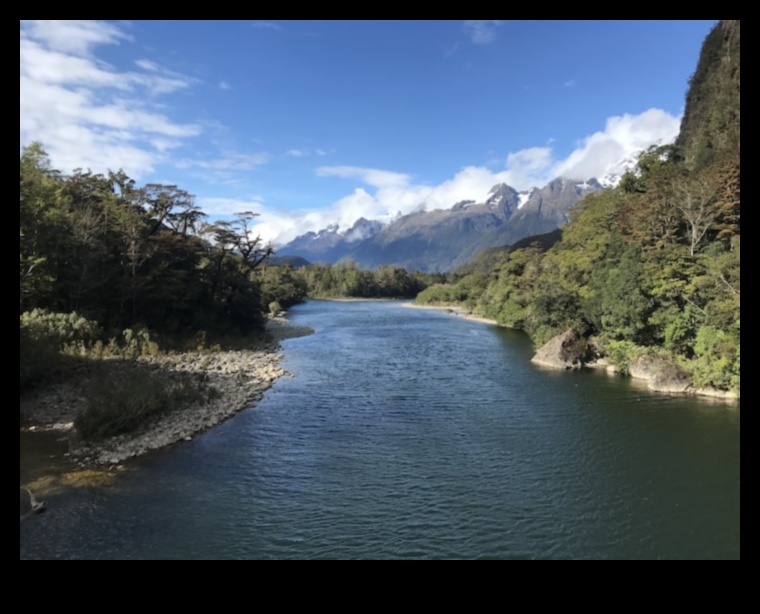 אלגנטיות זורמת: נהרות ונחלים באור הזרקורים