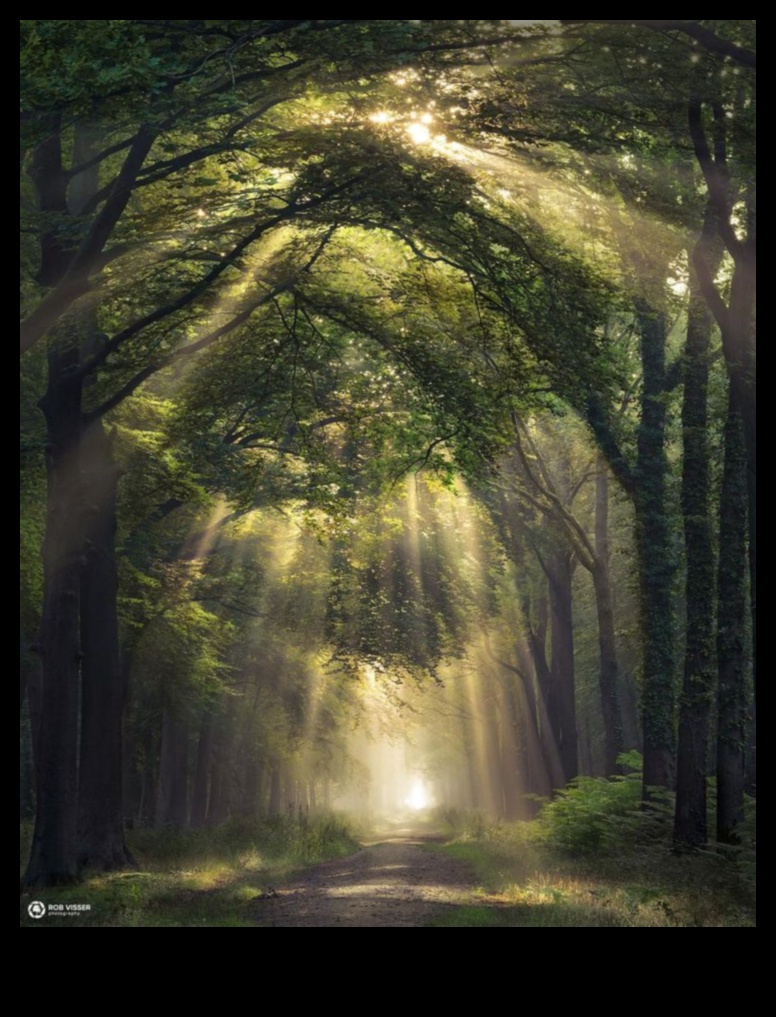 הפתיחה של הטבע: אוסף מלודי של נופים עוצרי נשימה שנחשף