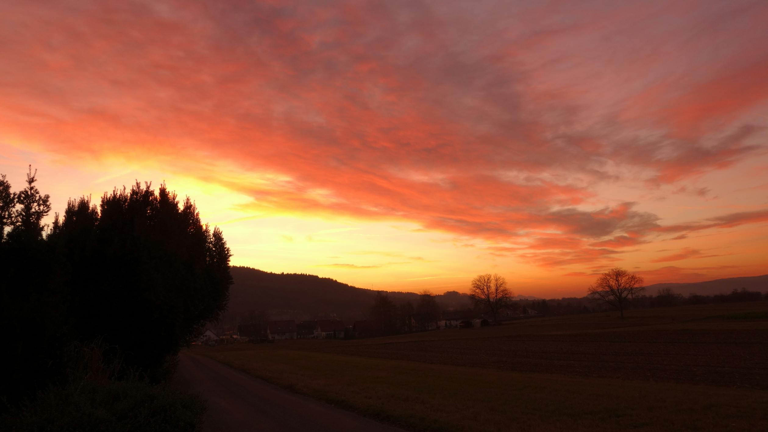 pexels תמונה 244484