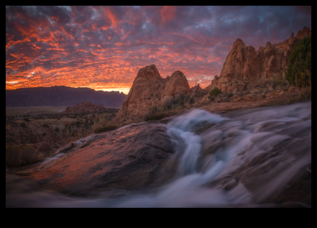 מסגור חלומות: פתיחת יצירתיות באמצעות חינוך מומחה לצילום