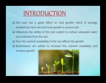 כיצד משפיעים הרכבי קרקע שונים על הצמחייה של נופים?