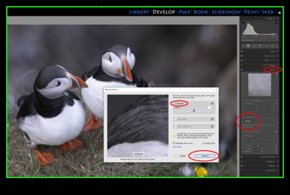 מצוינות בעריכה: שליטה בפוסט-עיבוד במדריכים