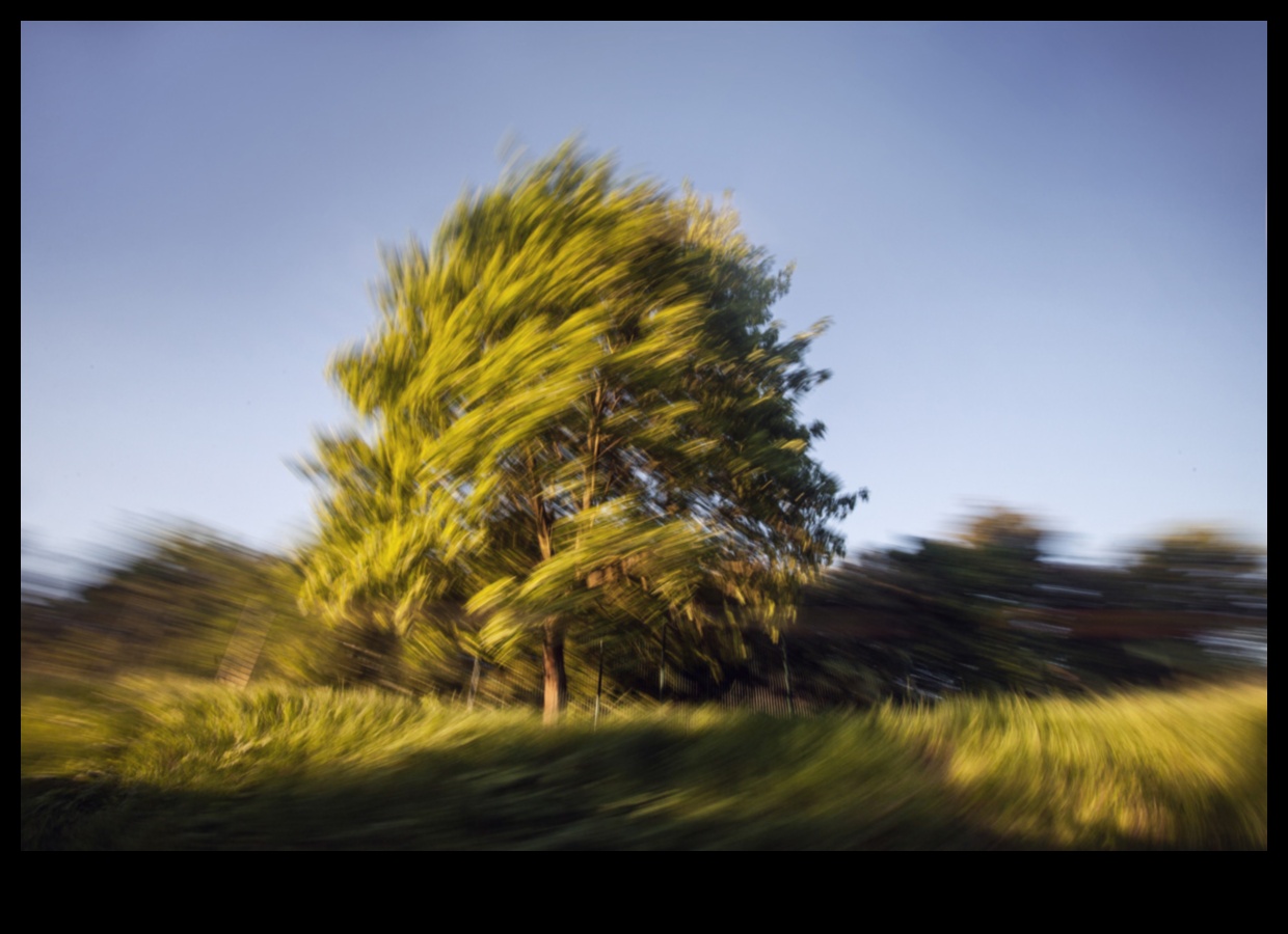 נופים בתנועה II: פרספקטיבות דינמיות על היופי של הטבע