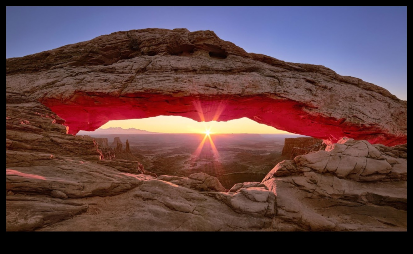נופים בתנועה II: פרספקטיבות דינמיות על היופי של הטבע