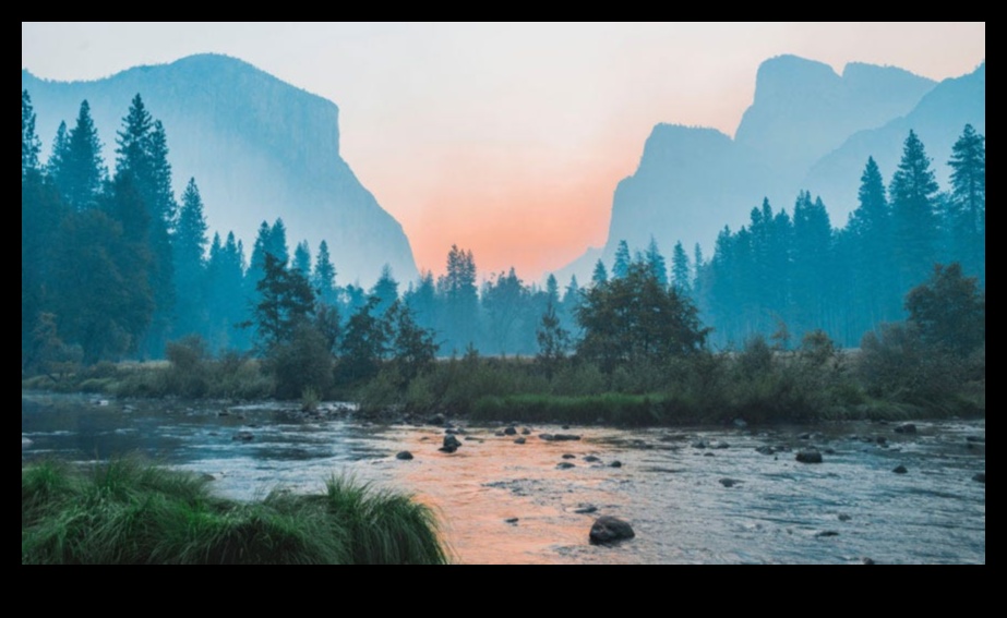 נופים בתנועה II: פרספקטיבות דינמיות על היופי של הטבע