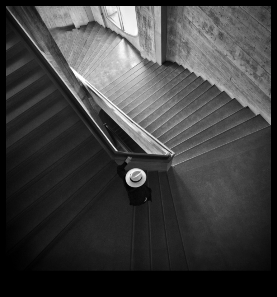 עיצובים בפירוט: יצירת אמנות באמצעות צילום אדריכלות