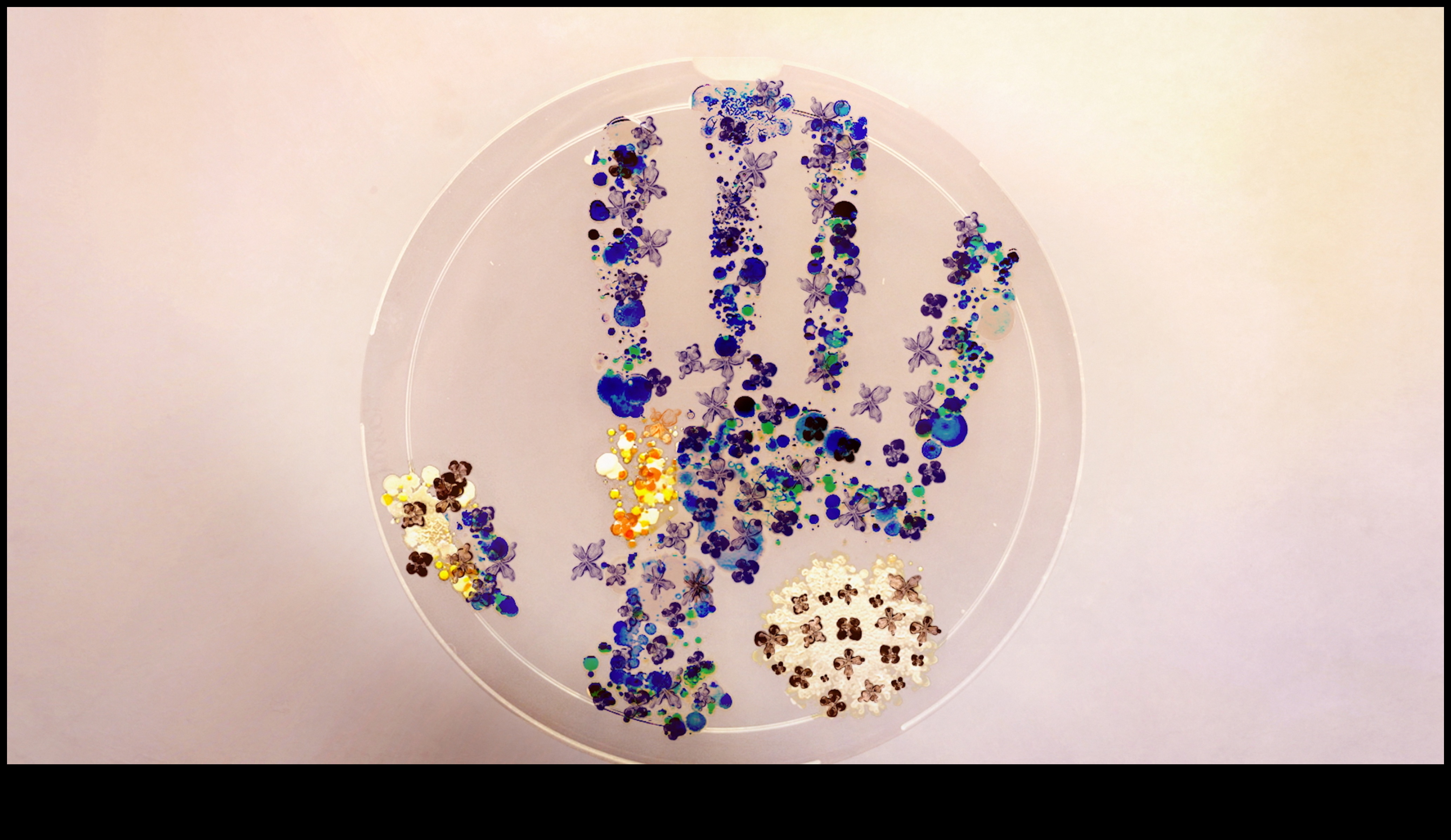 שפת המים: היכן נפגשים אדמה וחיי מים