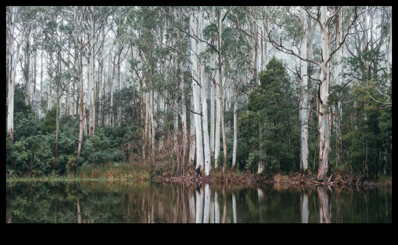 פיסול יופי: האומנות של הטבע בסצנות נוף מלכותיות