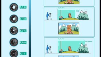 Aperture Aces: הרם את האומנות שלך באמצעות חינוך מקיף לצילום