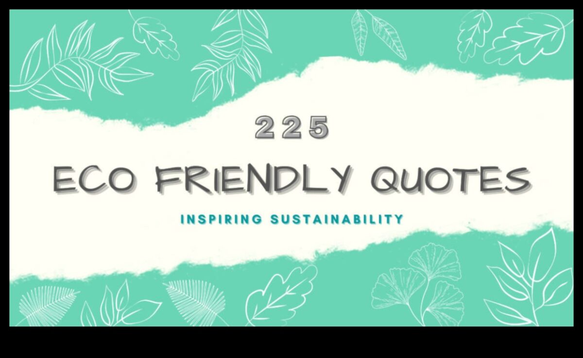 דיאלוגים חזותיים בטכנולוגיה ירוקה: שיחות בחדשנות ידידותית לסביבה