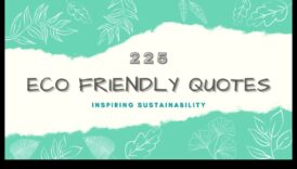 דיאלוגים חזותיים בטכנולוגיה ירוקה: שיחות בחדשנות ידידותית לסביבה