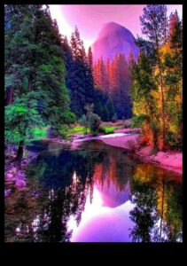 האלגנטיות של הטבע: אוסף של נופים יפים