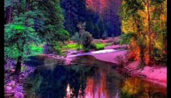 האלגנטיות של הטבע: אוסף של נופים יפים