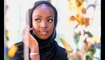 היילייטר והרמוניה סומק: השגת מראה לחיים מגובש