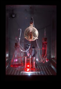 חלוצי ביוטכנולוגיה: מעצבים את העתיד של אמנות חזותית ופתרונות בריאות