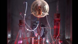 חלוצי ביוטכנולוגיה: מעצבים את העתיד של אמנות חזותית ופתרונות בריאות