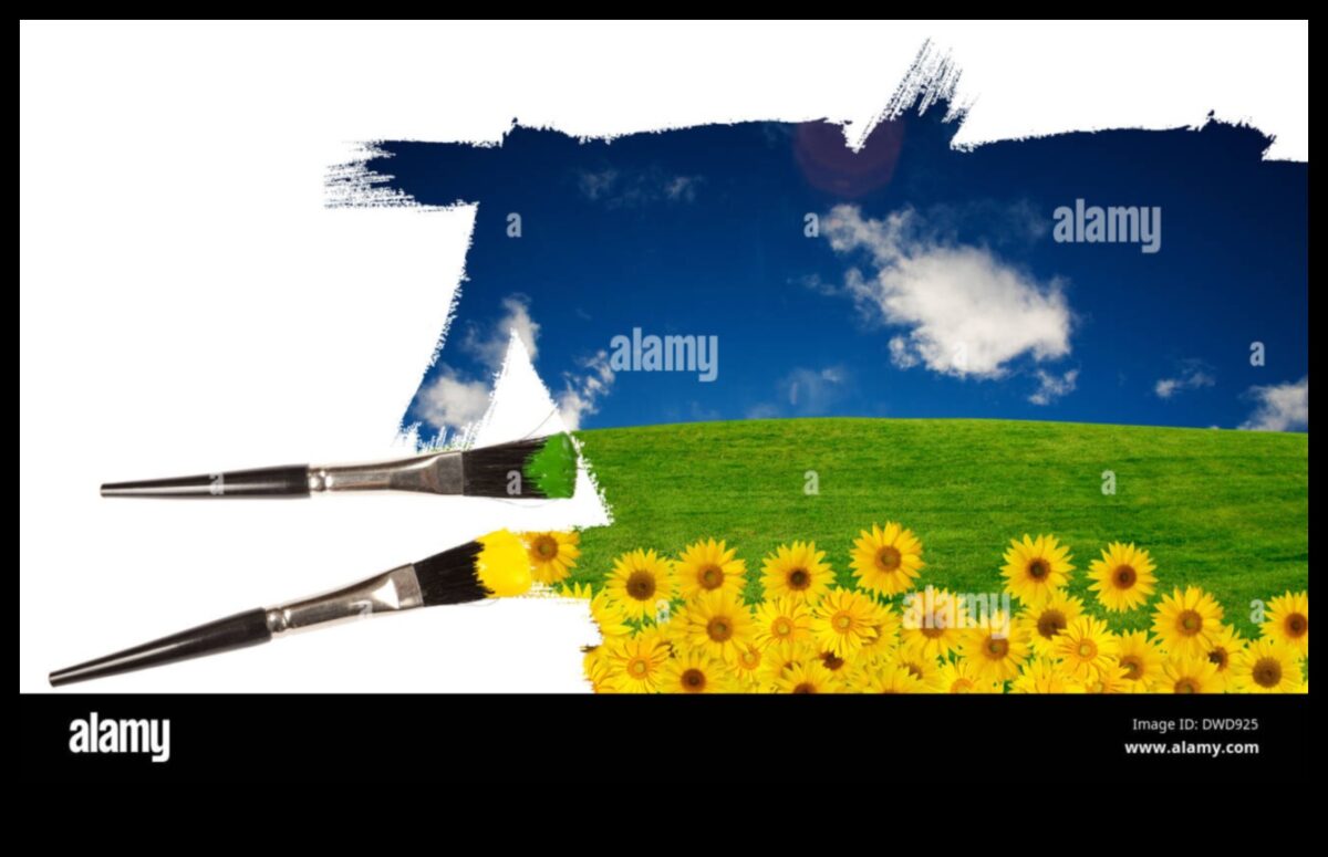 כיצד משפיעים תנאי מזג אוויר שונים על תפיסת הנופים?