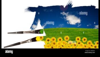 כיצד משפיעים תנאי מזג אוויר שונים על תפיסת הנופים?