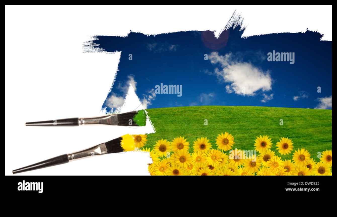 כיצד משפיעים תנאי מזג אוויר שונים על תפיסת הנופים?