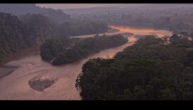 אלגנטיות זורמת: נהרות ונחלים באור הזרקורים