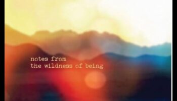 שפת המים: היכן נפגשים אדמה וחיי מים