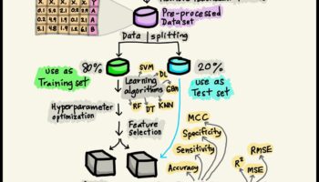 שליטה במינימליזם של ML: ייעול פתרונות להשפעה מרבית